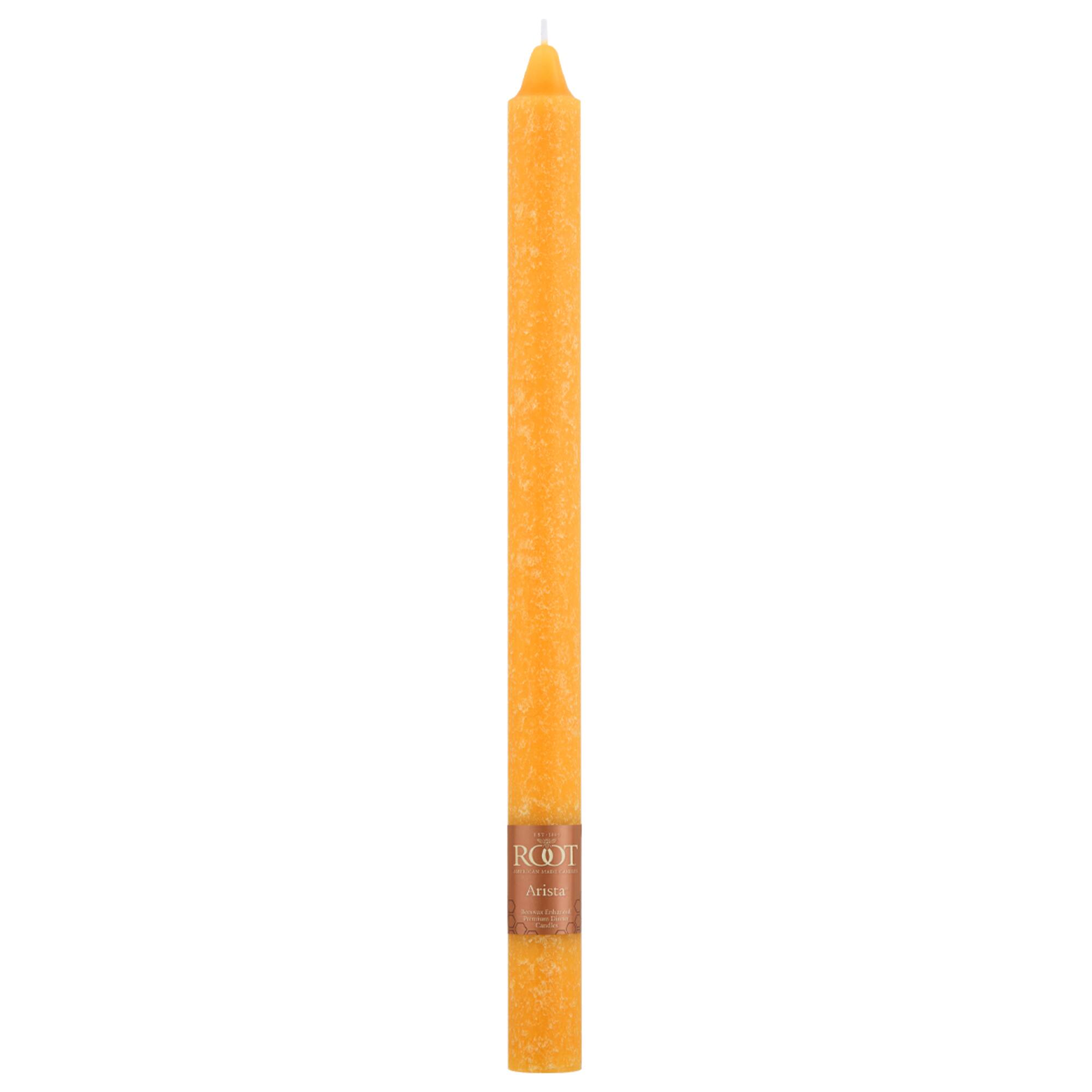 Root Candles 12" Unscented Timberline™ Arista™ Taper Candles